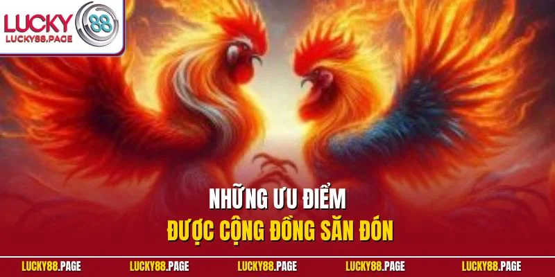 Những ưu điểm được cộng đồng săn đón
